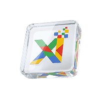 Xplore Intellects Logo Mark